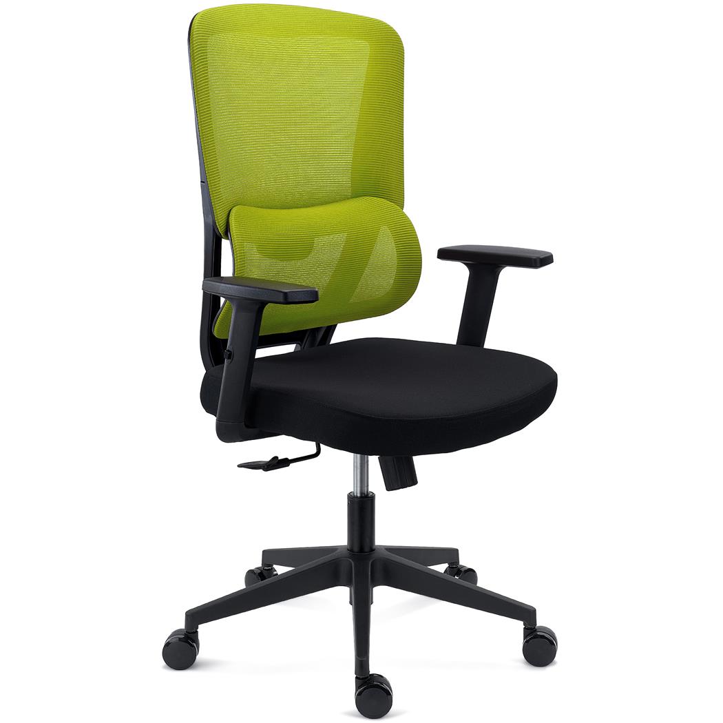 Fotel Biurowy Ergonomiczny SUPRA, Adaptacyjne Podparcie Lędźwiowe, 8 h Pracy, Tkanina i Siatka, Zielony