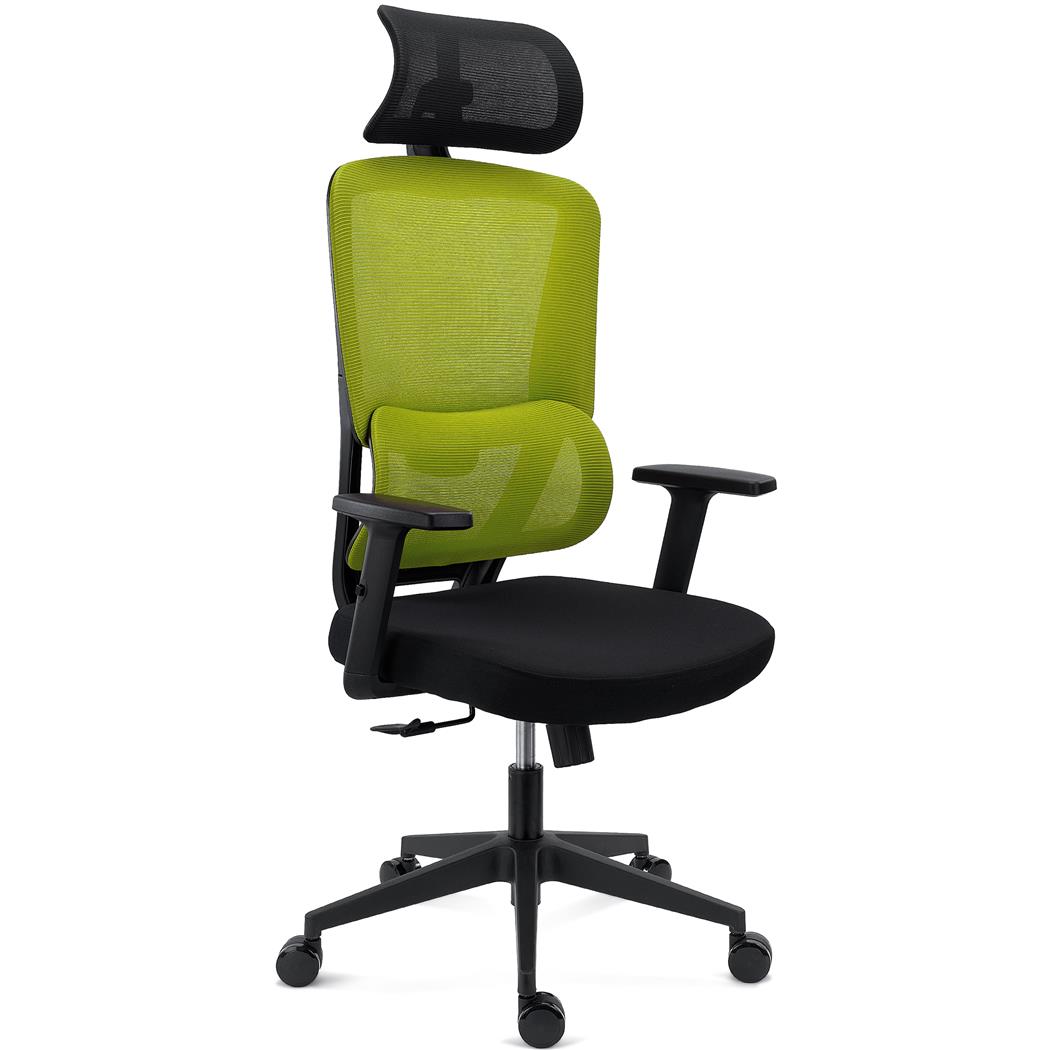 Fotel Biurowy Ergonomiczny SUPRA, Zagłówek, Adaptacyjne Podparcie Lędźwiowe, 8 h Pracy, Tkanina i Siatka, Zielony