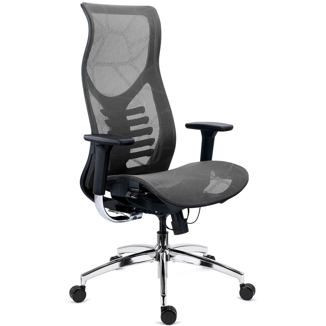 Krzesło Ergonomiczne VICTUS, Wysokie Oparcie z Podparciem Lędźwi, Wysuwane Siedzisko, Wyjątkowy Design, Szare