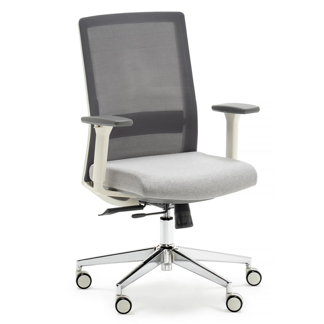 Krzesło Ergonomiczne ALBI, Nowoczesny Design, Regulowane Podparcie Lędźwi, Siatka i Tkanina, Szare