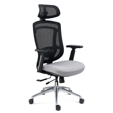 Krzesło Ergonomiczne ASTON, Podparcie Lędźwiowe 3D, Wysuwane Siedzisko z Wtryskiwaną Pianką, 8h, Szare