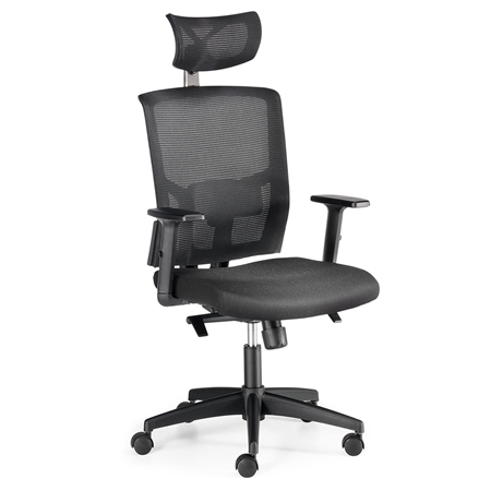 Krzesło Ergonomiczne EYDA, z Zagłówkiem, Podparcie Lędźwiowe, 8 Godzin Pracy, Czarne