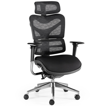 Krzesło Ergonomiczne PROWORK, Pełna Regulacja, Oddychająca Siatka, kolor Czarny