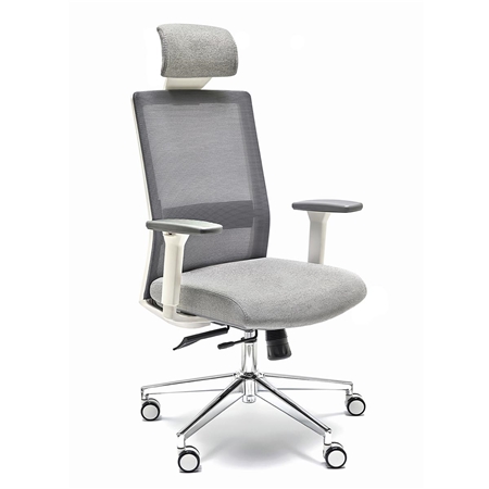 Krzesło Ergonomiczne ALBI PRO, Zagłówek, Nowoczesny Design, Regulowane Podparcie Lędźwi, Siatka i Tkanina, Szare